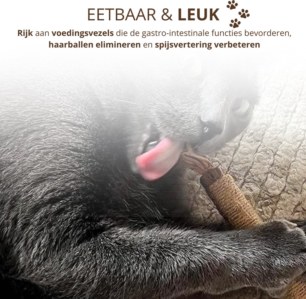 Twenty4seven® Matatabi Stokjes voor Katten - 5 Stuks - 100% Natuurlijk en Eetbaar Kattenspeelgoed - Catnip Effect voor Kat thumbnail 4