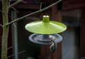 Boomklever op een nat groen vogelvoederhuisje in een boom.