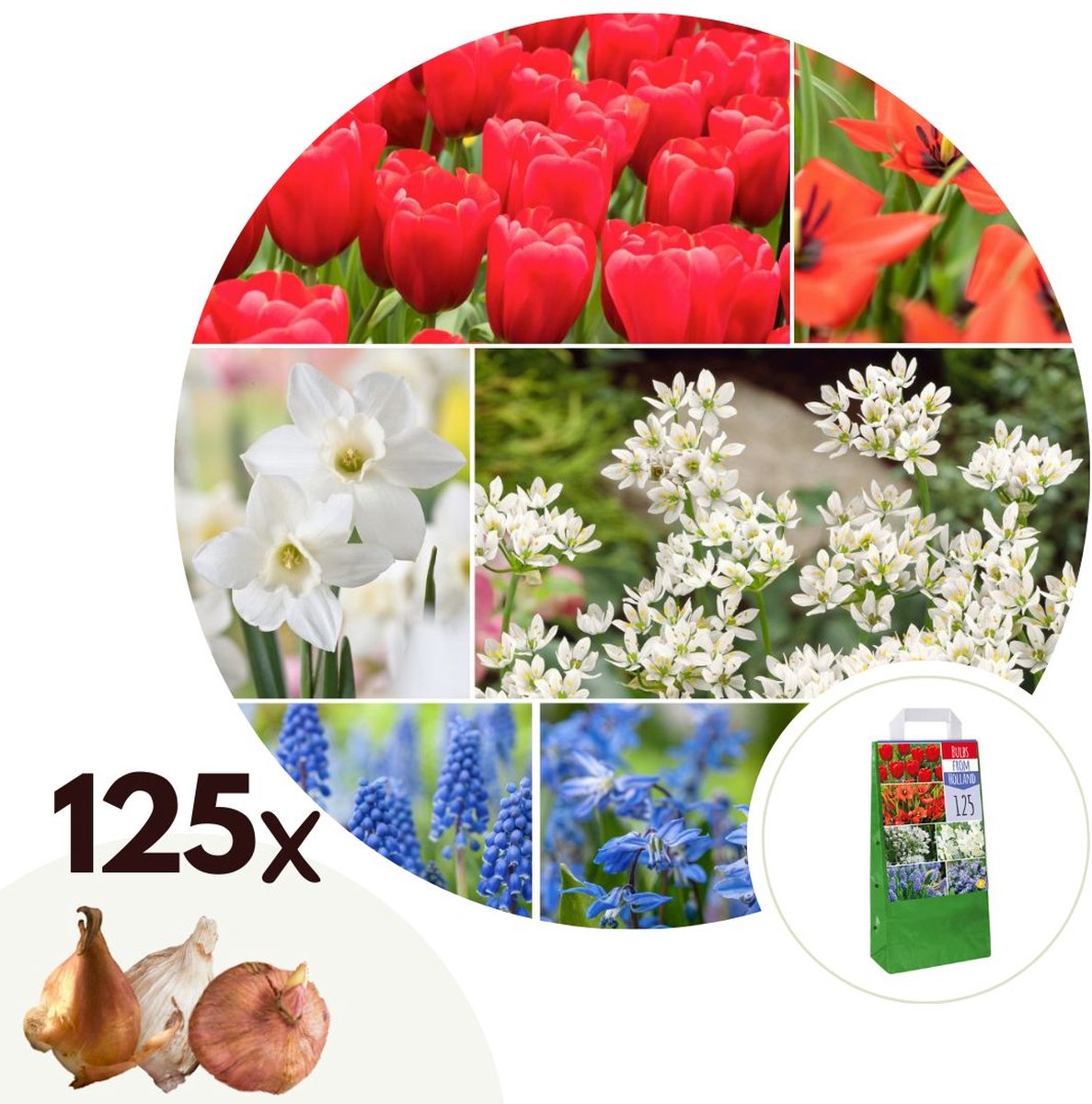 Verpakking met een mix van 125 bloembollen van Plant in a Box: tulp, narcis, scilla en allium
