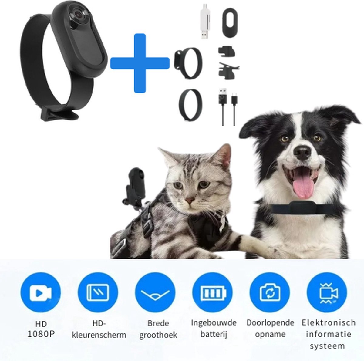 8 Beste Kattenhalsbandcamera's voor een Eerste Blik op de Avonturen va