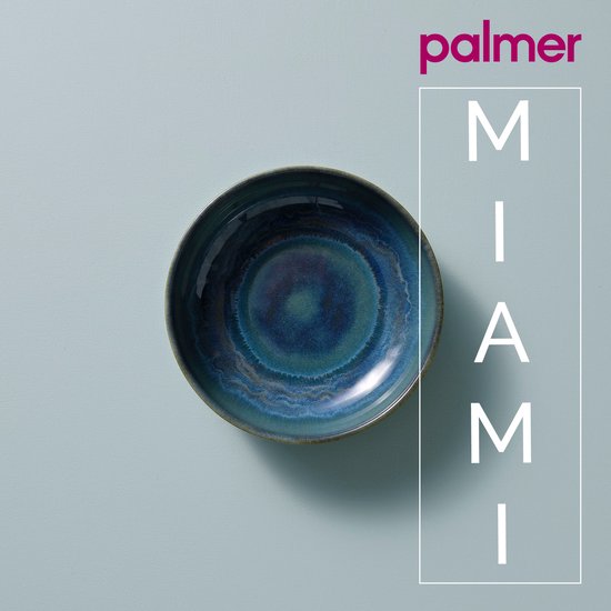 Blauwe kom op een lichte achtergrond, met de tekst 'MIAMI'.