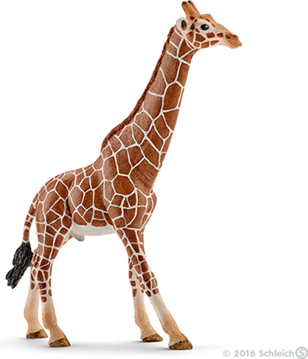 schleich WILD LIFE - Mannetjesgiraf - Speelfiguur - Kinderspeelgoed voor Jongens en Meisjes - 3 tot 8 jaar - 14749 — afbeelding 5