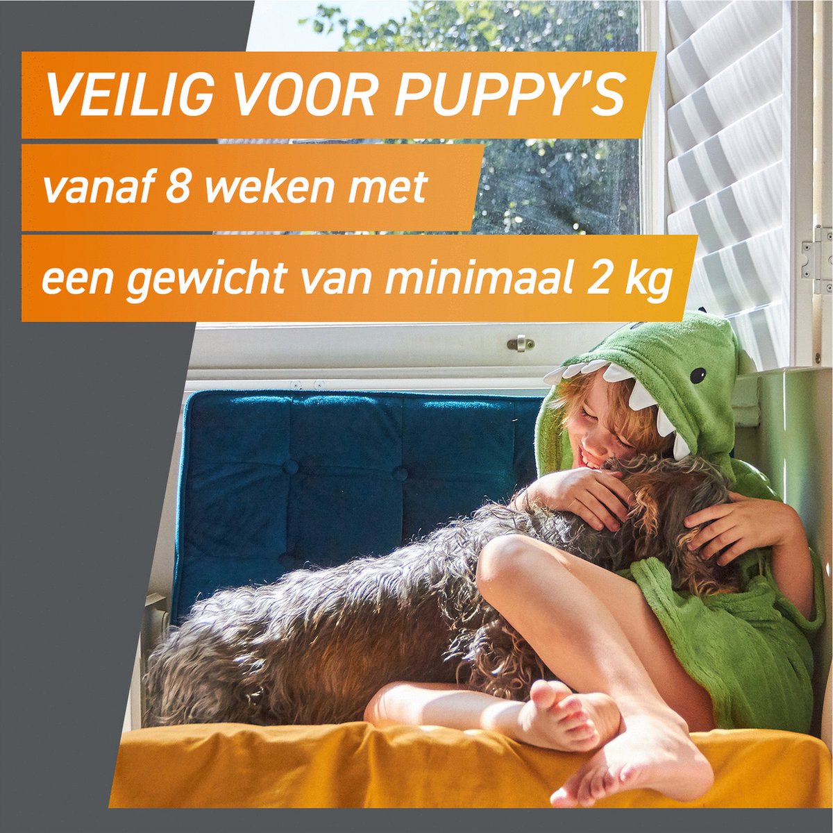 Frontpro Anti vlooien kauwtablet - Hond M 4-10 kg - 3 tabletten — afbeelding 6