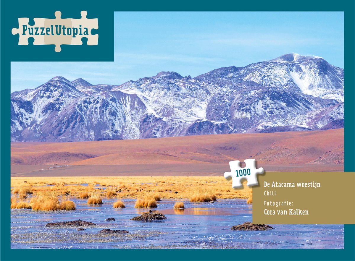 PuzzelUtopia Legpuzzel De Atacama Woestijn Chili