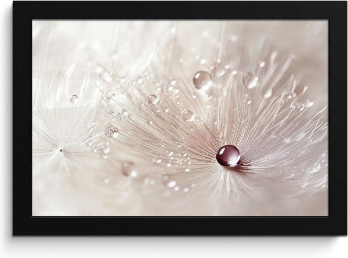 FrameYourWall Poster in lijst - Fotolijst 30x20 cm - Posters - Bloem - Abstract - Wit - Water - Natuur - Posterlijst zwart - Decoratie - Wanddecoratie woonkamer - Muurdecoratie slaapkamer Paardenbloem - Abstract