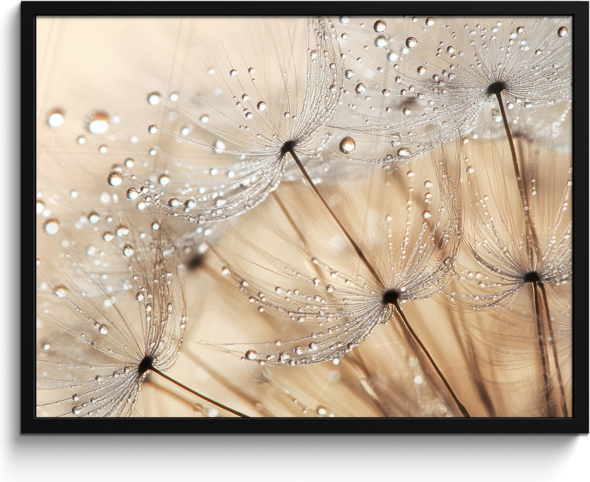 FrameYourWall Poster in lijst - Fotolijst 80x60 cm - Posters - Paardenbloem - Abstract - Natuur - Beige - Posterlijst zwart - Decoratie - Wanddecoratie woonkamer - Muurdecoratie slaapkamer Paardenbloem - Water
