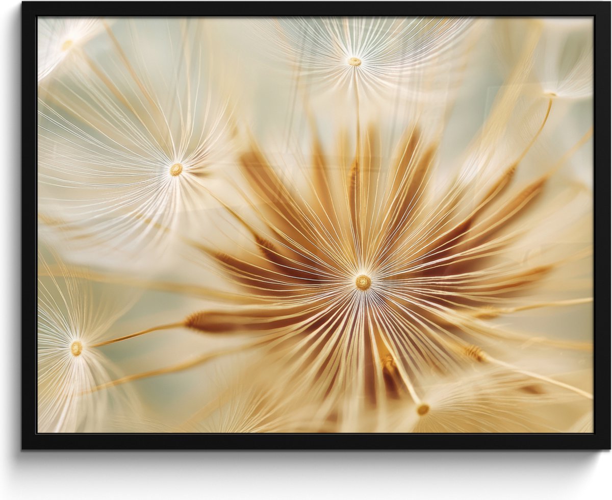 FrameYourWall Poster in lijst - Fotolijst 80x60 cm - Posters - Paardenbloem - Beige - Abstract - Modern - Natuur - Posterlijst zwart - Decoratie - Wanddecoratie woonkamer - Muurdecoratie slaapkamer Paardenbloem - Abstract