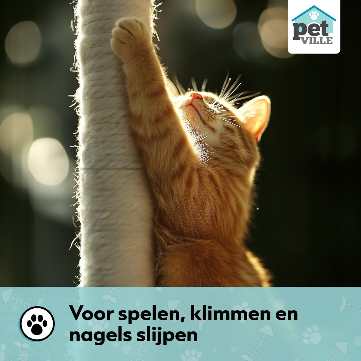Krabpaal voor Katten met Kattenmand & Kattenspeelgoed XXL - 5 Niveaus - Hangmat - Sisal Touw - 55 x 45 x 143 cm - Incl Muurbevestiging - Krabmat - Kattenhuis - Kattenbed - Kattenpaal - Kattentoren - Kattenspeeltjes - Kattenboom - Beige - PetVille – foto 4