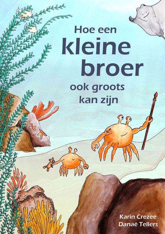 Hoe een kleine broer ook groots kan zijn - Prentenboek - Cadeau broer - Cadeau baby
