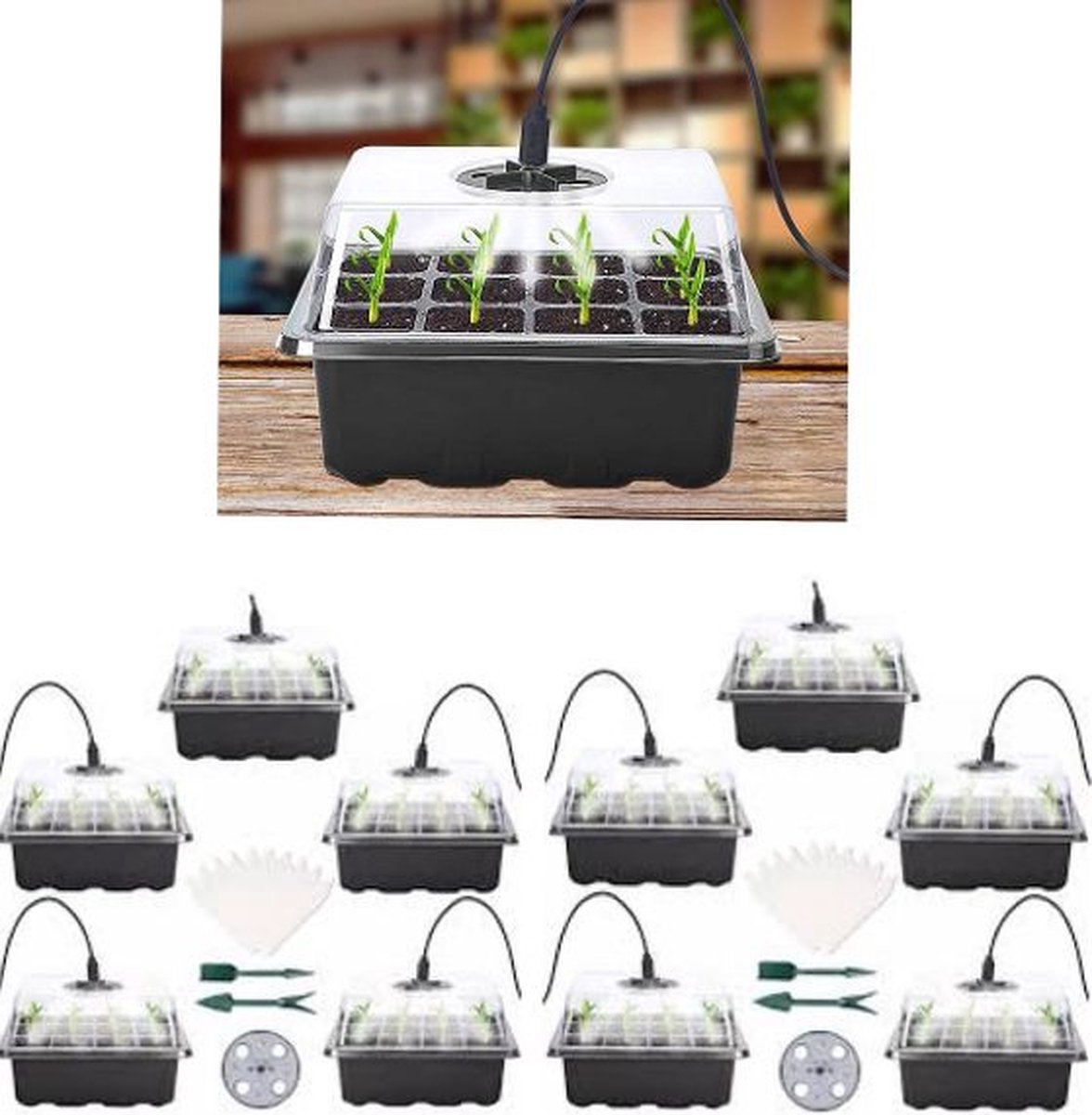 Kweekbakjes 10 stuks met 10 x 8 LED, groeilampjes, zaaitray, starter groei set, voor plantjes en zaden, extra hoge deksel,