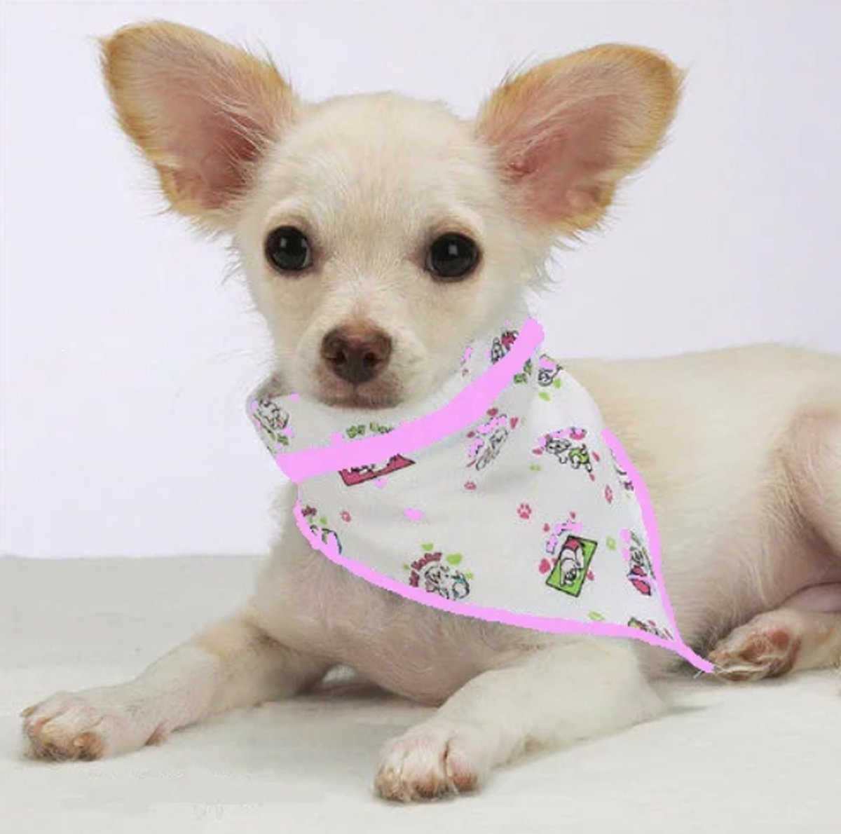 Aria - My Baby Bandana - Bandana voor puppy's en kleine hondjes - 10 cm