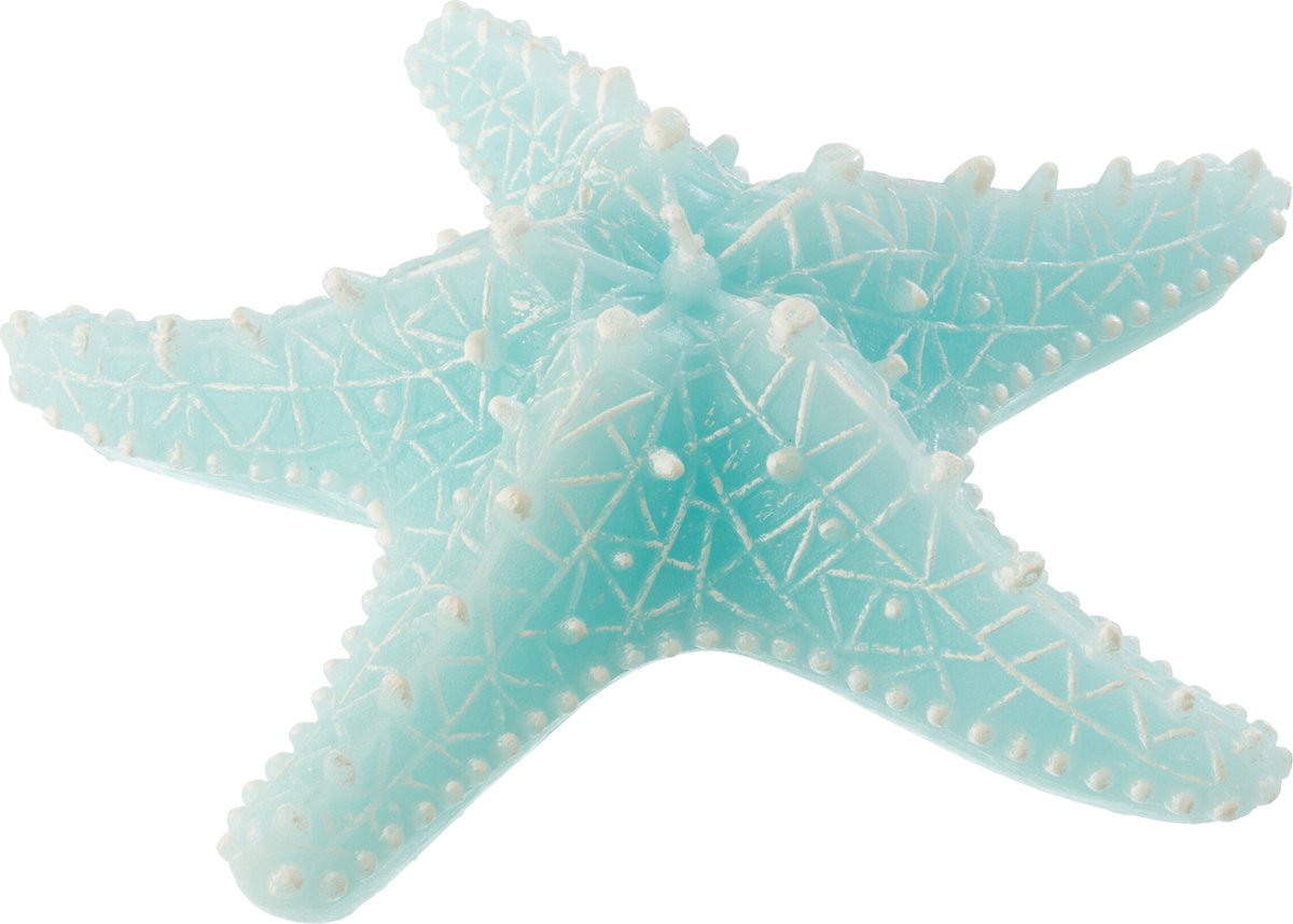 J-Line kaars Zeester - azuur - large - 3U Blauw
