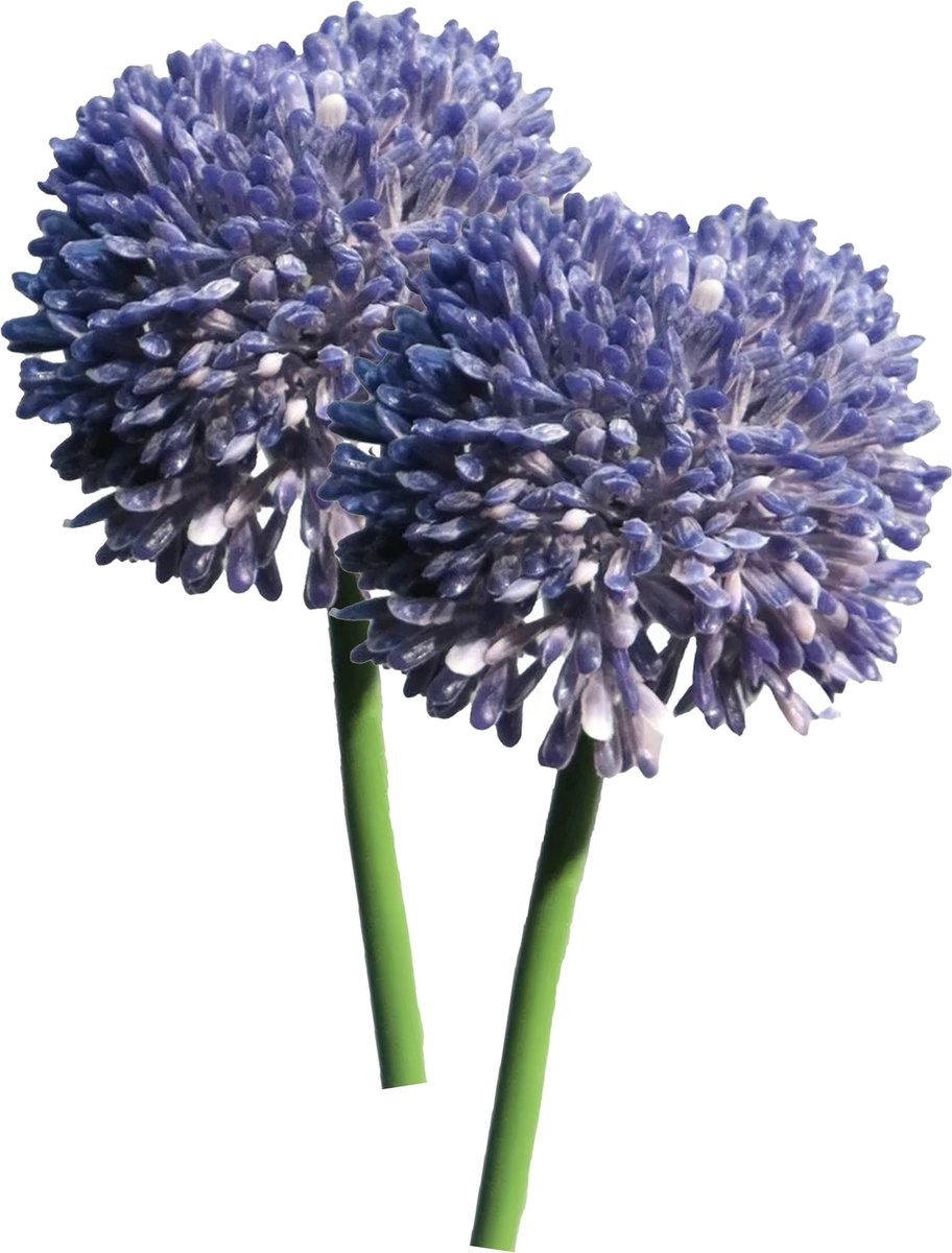 Bellatio Design Sierui Globemaster kunstbloem - 2x - losse stelen - paars - 44 cm - Natuurlijke uitstraling