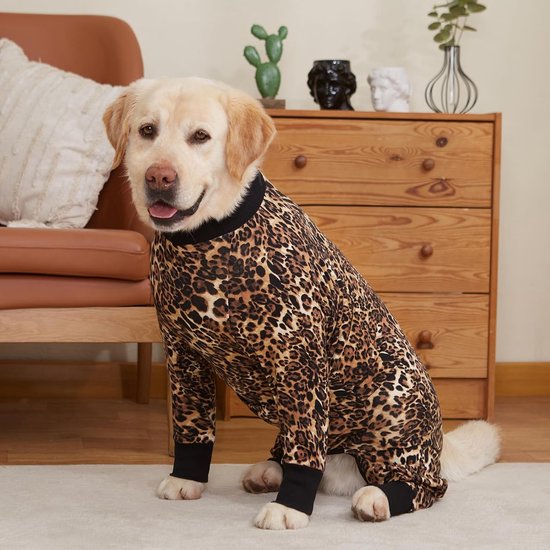 Honden > Kleding & Accesoires > Shirts — afbeelding 2