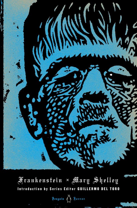 ISBN Frankenstein, classiques, Anglais, Couverture rigide, 352 pages