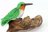 Pluche kolibrie knuffel