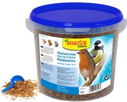 Gevriesdroogde Meelwormen – Buitenvogelvoer - emmer 5,5 Liter