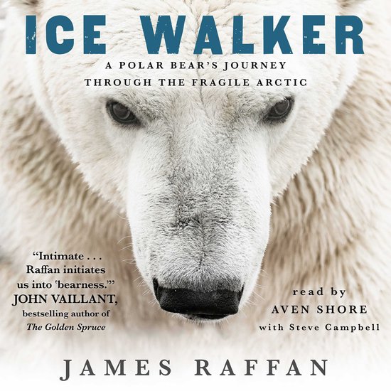 Ice Walker - cover
