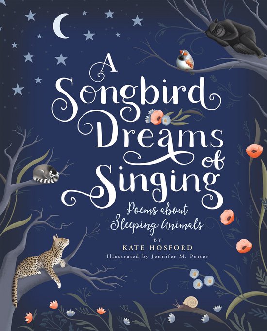 A Songbird Dreams of Singing - cover