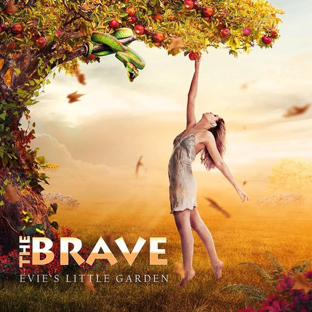 Brave Evie's little Garden