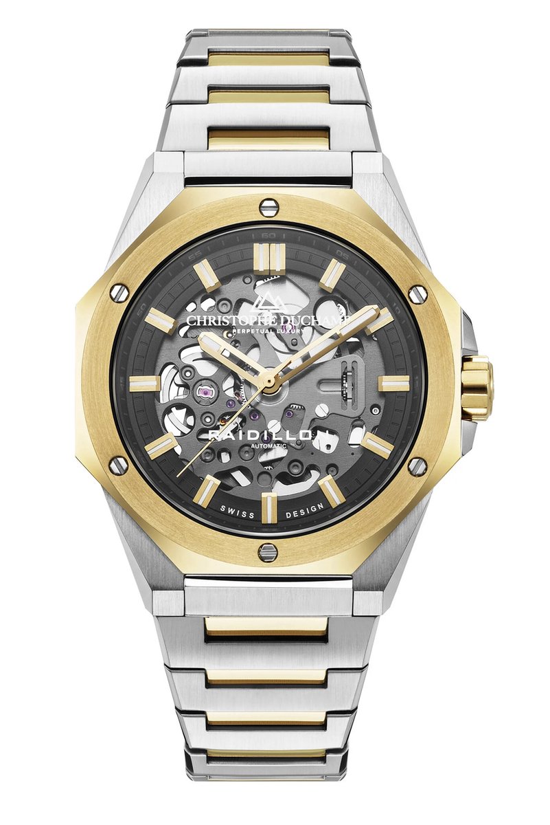 Luxe mannenhorloge Christophe Duchamp Raidillon Skeleton Automatic Silver Gold