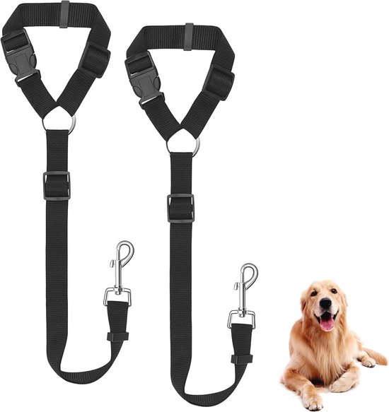 Beste honden autogordels van 2025 voor zorgeloze ritten met je harige