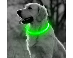 LED Halsband Hond - Lichtgevende Halsband Hond - Groen - XL - USB Oplaadbaar