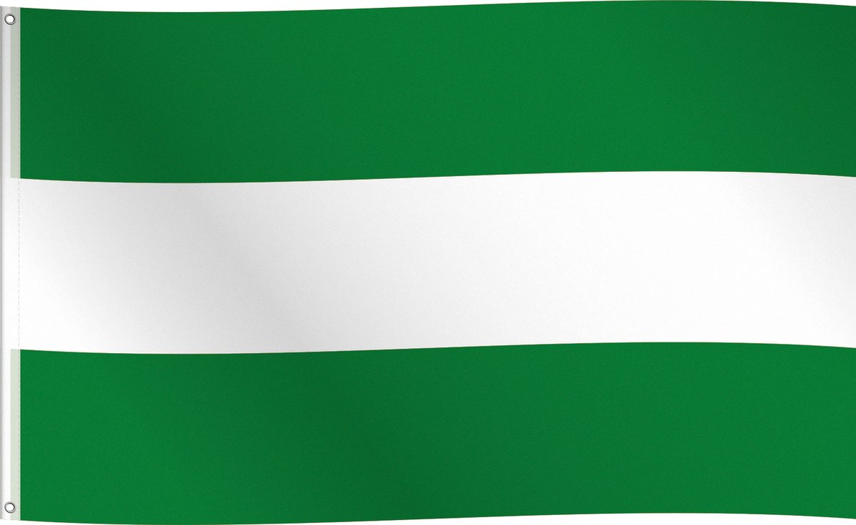 Vlag Rotterdam 90 x 150cm polyester