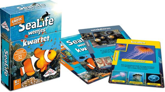 Sealife Weetjeskwartet - Kaartspel - Boordevol leuke feitjes over zeedieren