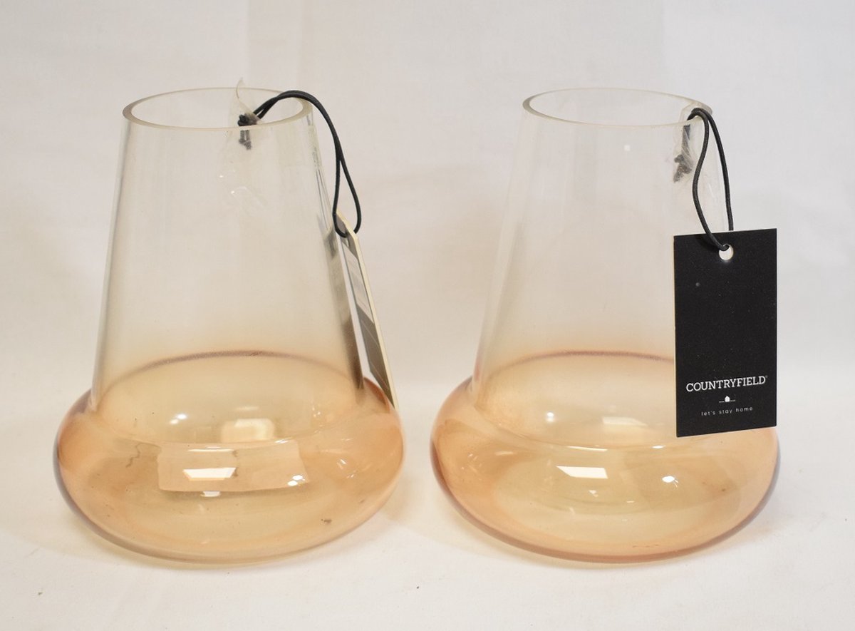Countryfield 2 stuks - XS Vaas - glas - 2 kleurig - helder - licht bruin - H15 x Ø 12 cm - opening Ø 6,5 cm helder glas - licht bruin
