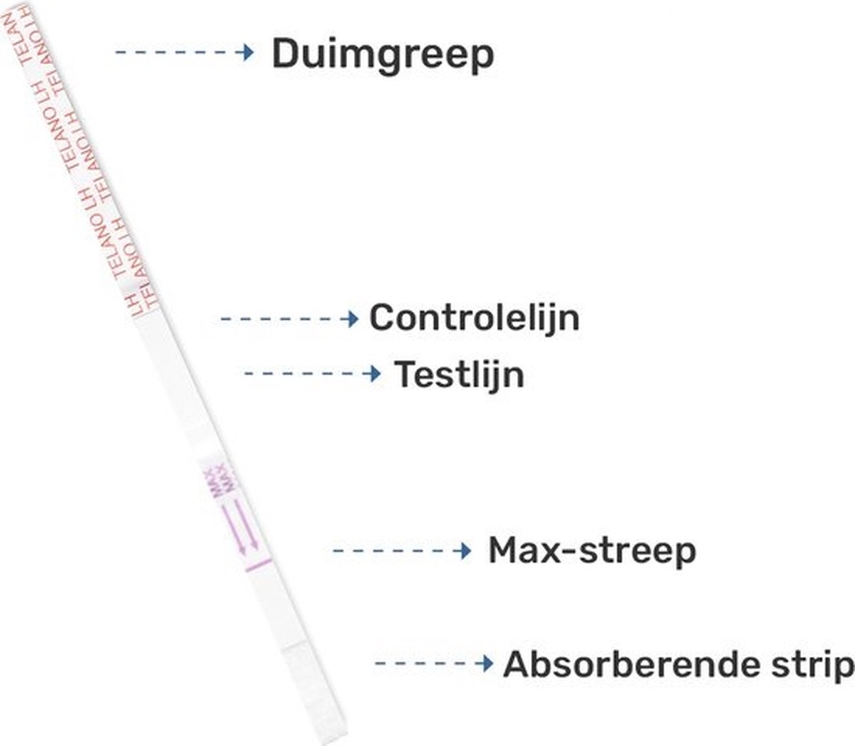 Telano Ovulatietest 15 testen Dipstick Gevoelig - 1x Zwangerschapstest Strip - Ovulatiekalender – foto 7