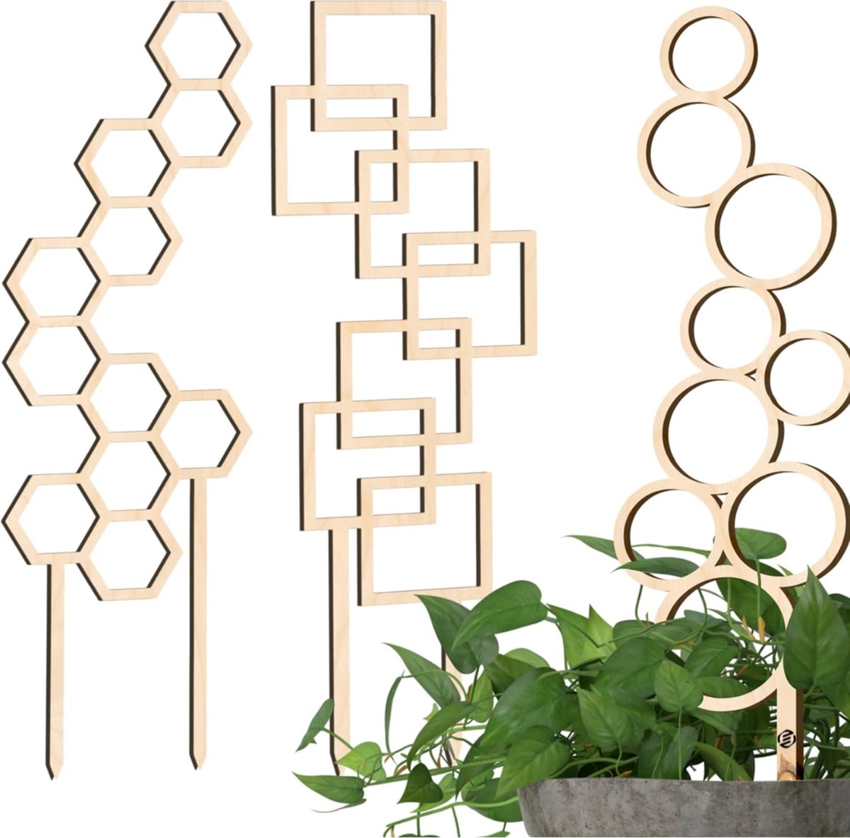 Equivera Klimrek Planten - Klimrek Planten Buiten Muur - Klimrek Planten Buiten - Klimrek Planten Tuin - Klimrek Nature - Plantenklimrek - Klimrek voor Planten - Must Have voor in de Tuin!