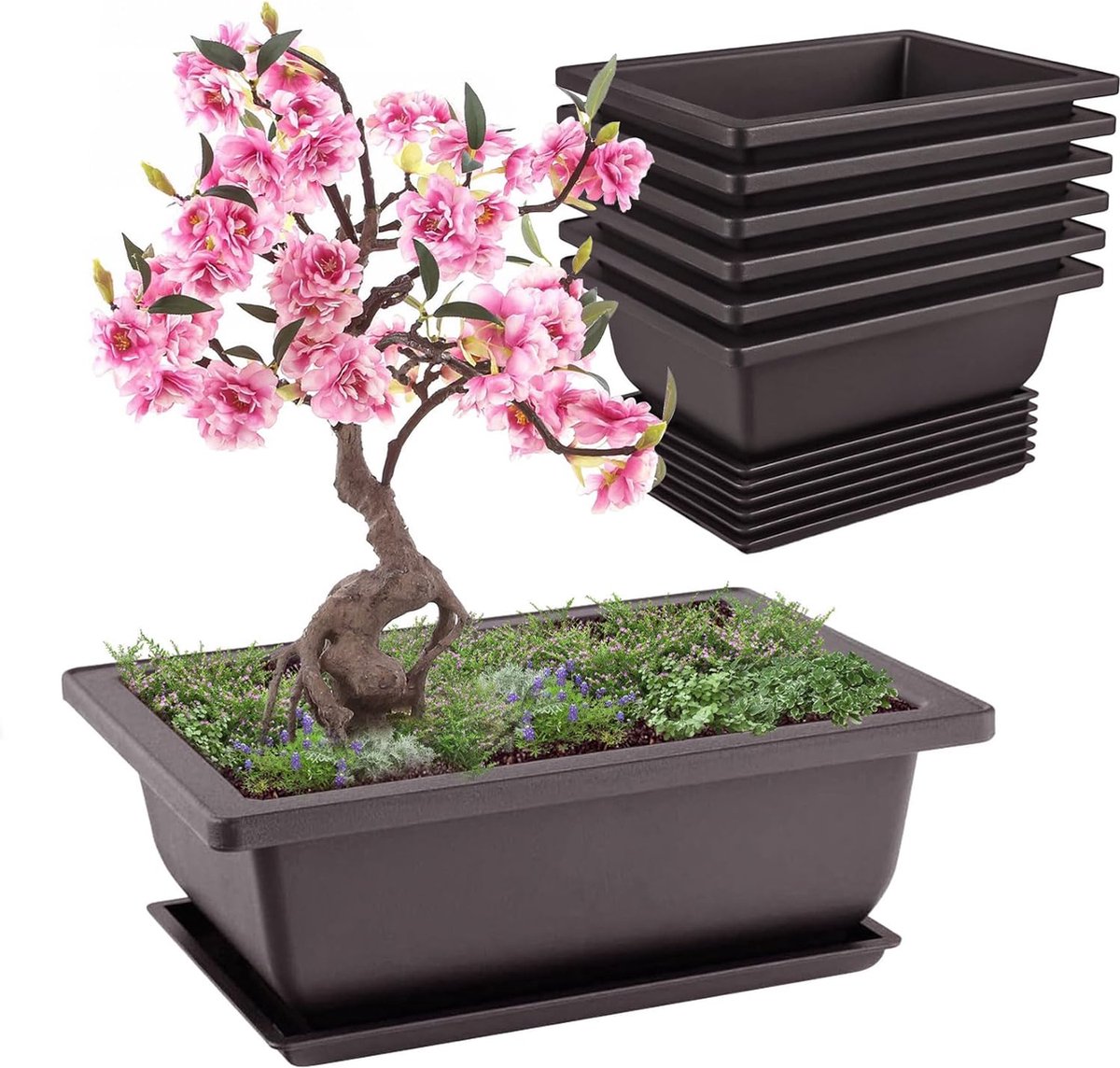 Bonsai Schalen Set van 6 met Schotels voor Binnen en Buiten Gebruik