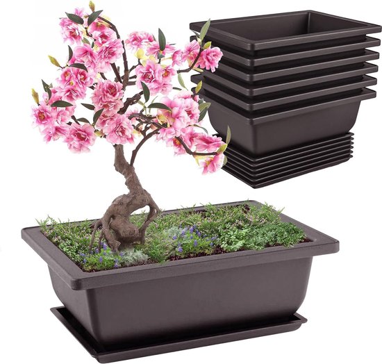 Bonsai schalen set van 6 - Met schotels voor binnen en buiten | bol