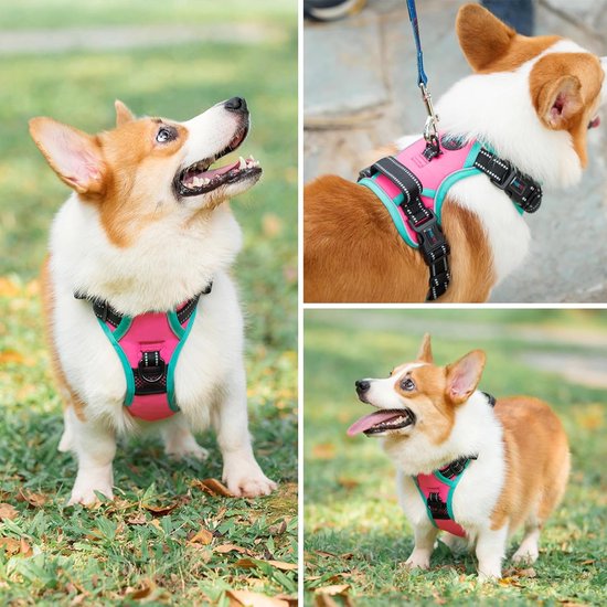 Video's over Wat is Hanyang OEM Aangepaste Geen Trek Hondentuig Zware Duurzame Verstelbare & Reflecterende Hond Vest Tuig voor Kleine Middelgrote Grote Hond
