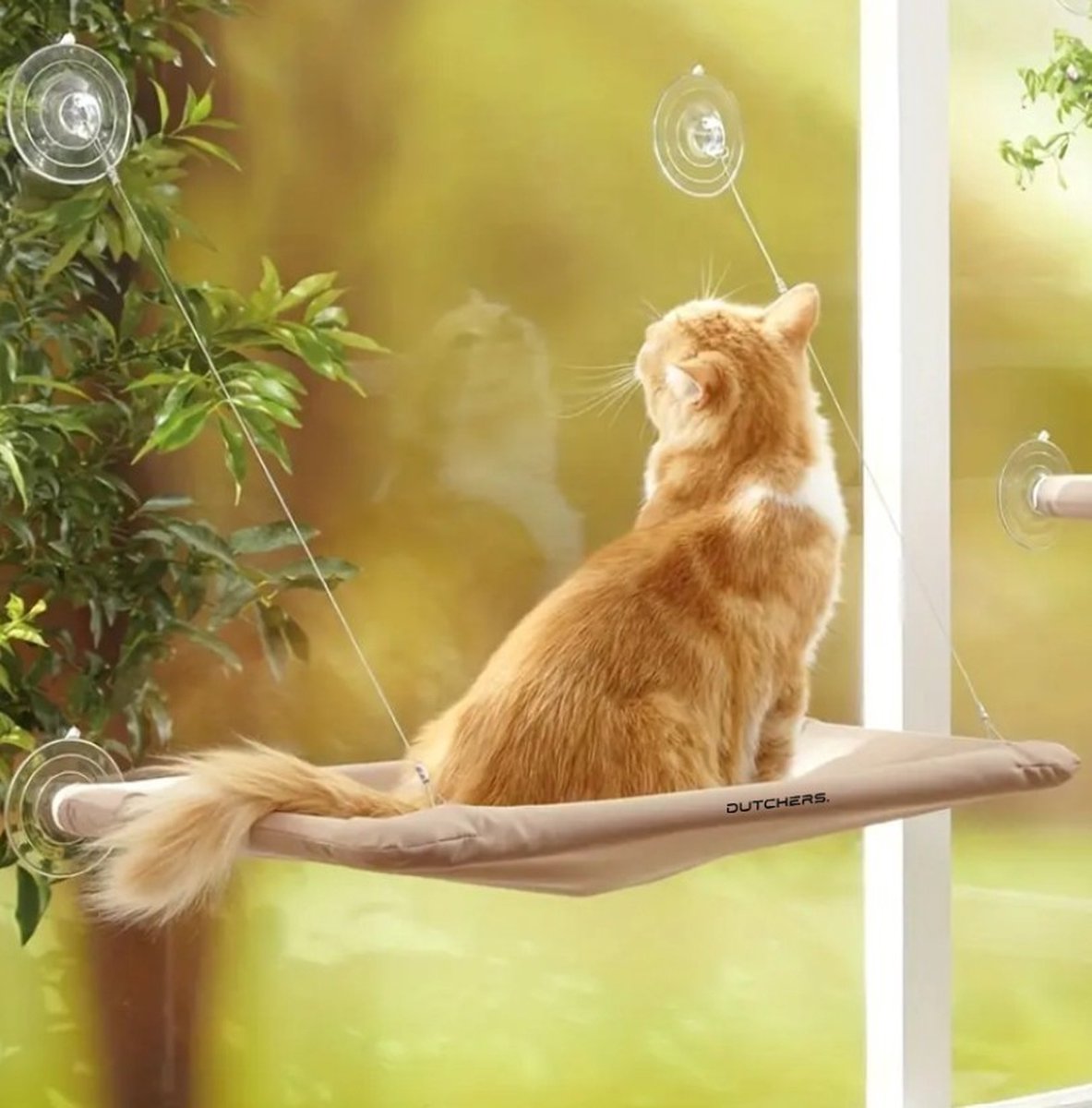 Dutchers® Kattenbed - Nu met extra ligkussen - Hangmat voor huisdier - Kattenmand voor het raam - Hangmat - Ligbed voor poes & kat - Bruin – foto 8
