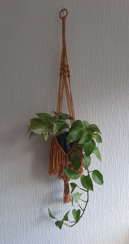 Cafuné - Macramé Pakket-Plantenhanger "Fringe" – Oker– 95 cm – Inclusief Macramé Koord, Houten Ring & Kralen en Instructievideo – Perfect voor Beginners -Macrame Touw - Complete set- Moederdag Cadeau Idee - Plantenhanger maken