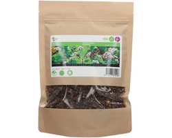 Boekweit Groenbemester 250 Gram 50 m2