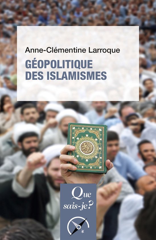 Géopolitique des islamismes - cover