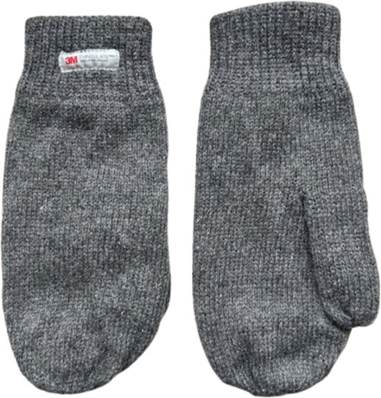 Heren wanten - Winter want - Thinsulate - Wol - Grijs - One size