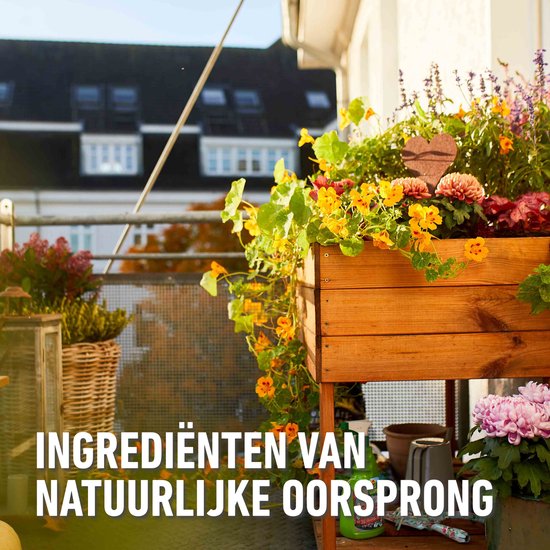 COMPO Fazilo Spray - gebruiksklare insectenbestrijder - natuurlijke  werkstoffen - voor... | bol