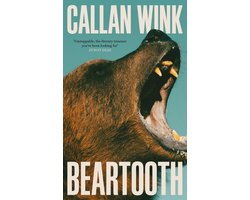 Omslag van Beartooth
