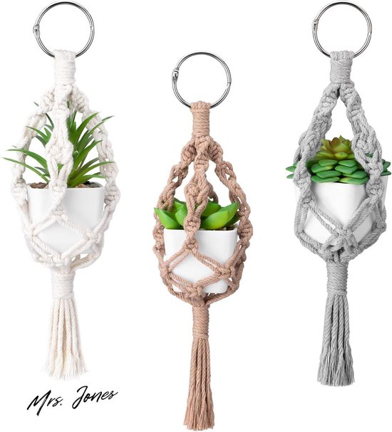 PASCH Set van 6 kunstmatige vetplanten in witte keramische potten: decoratieve planten voor woonkamer, badkamer, kantoor - kleine kunstplanten als echt