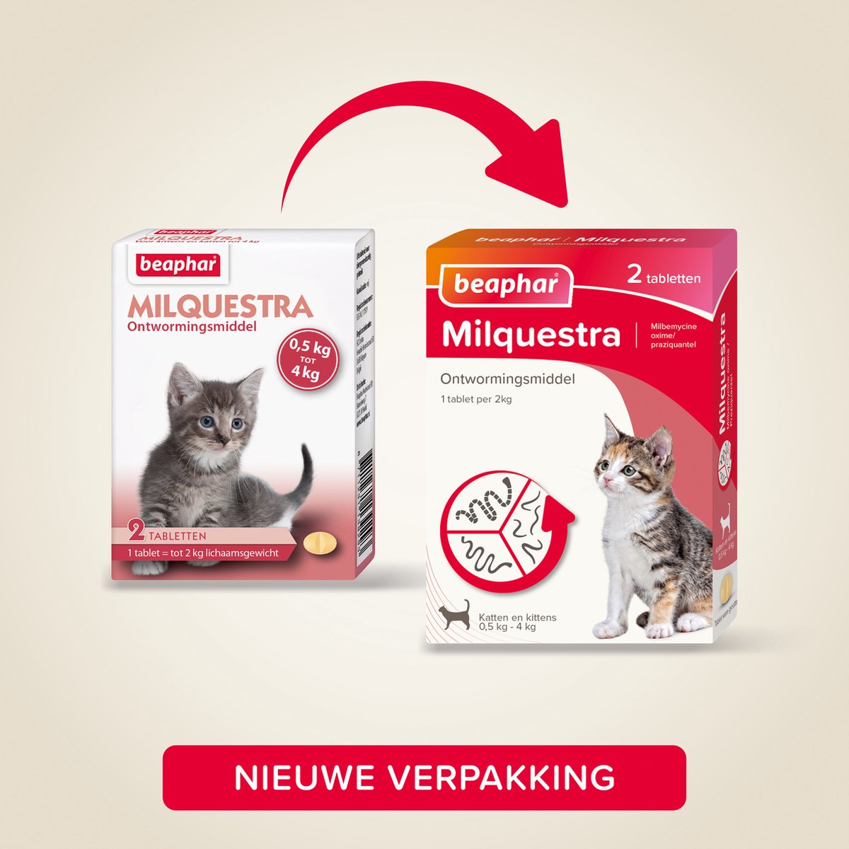 Beaphar Milquestra Kleine kat/kitten - 0,5 tot 4 Kg - 2 tabletten — afbeelding 2