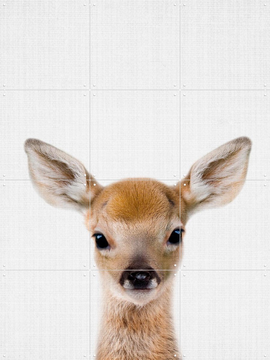IXXI Roe, Lila + Lola - 60 x 80 cm - Gratis ophangtool - Grote wanddecoratie en posters - Grafisch Ontwerp, Minimalisme, Fotografie, Kinderkamer