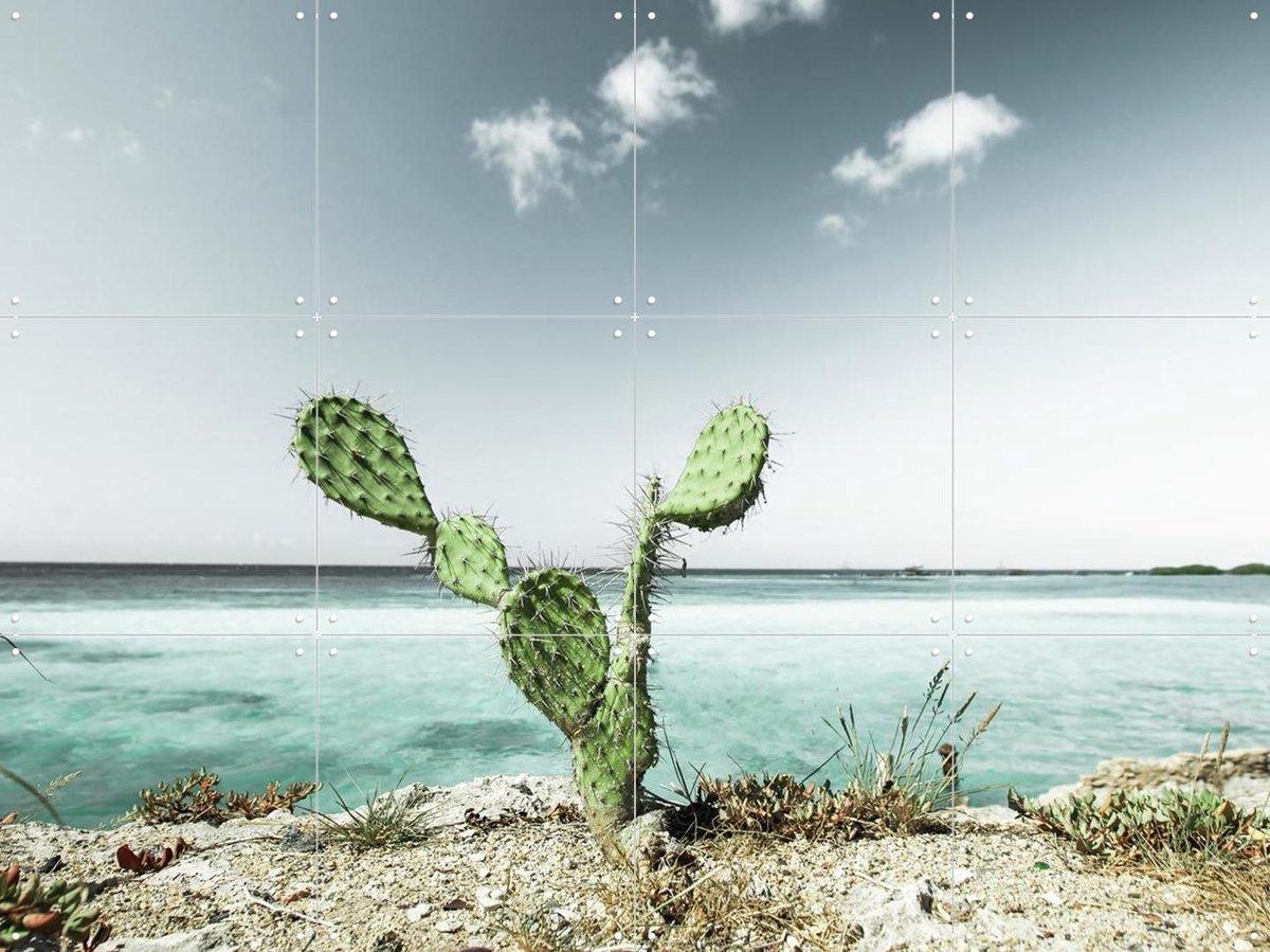 IXXI Tropical Cactus, Claire Droppert - 80 x 60 cm - Gratis ophangtool - Grote wanddecoratie en posters - Minimalisme, Naturalisme, Fotografie