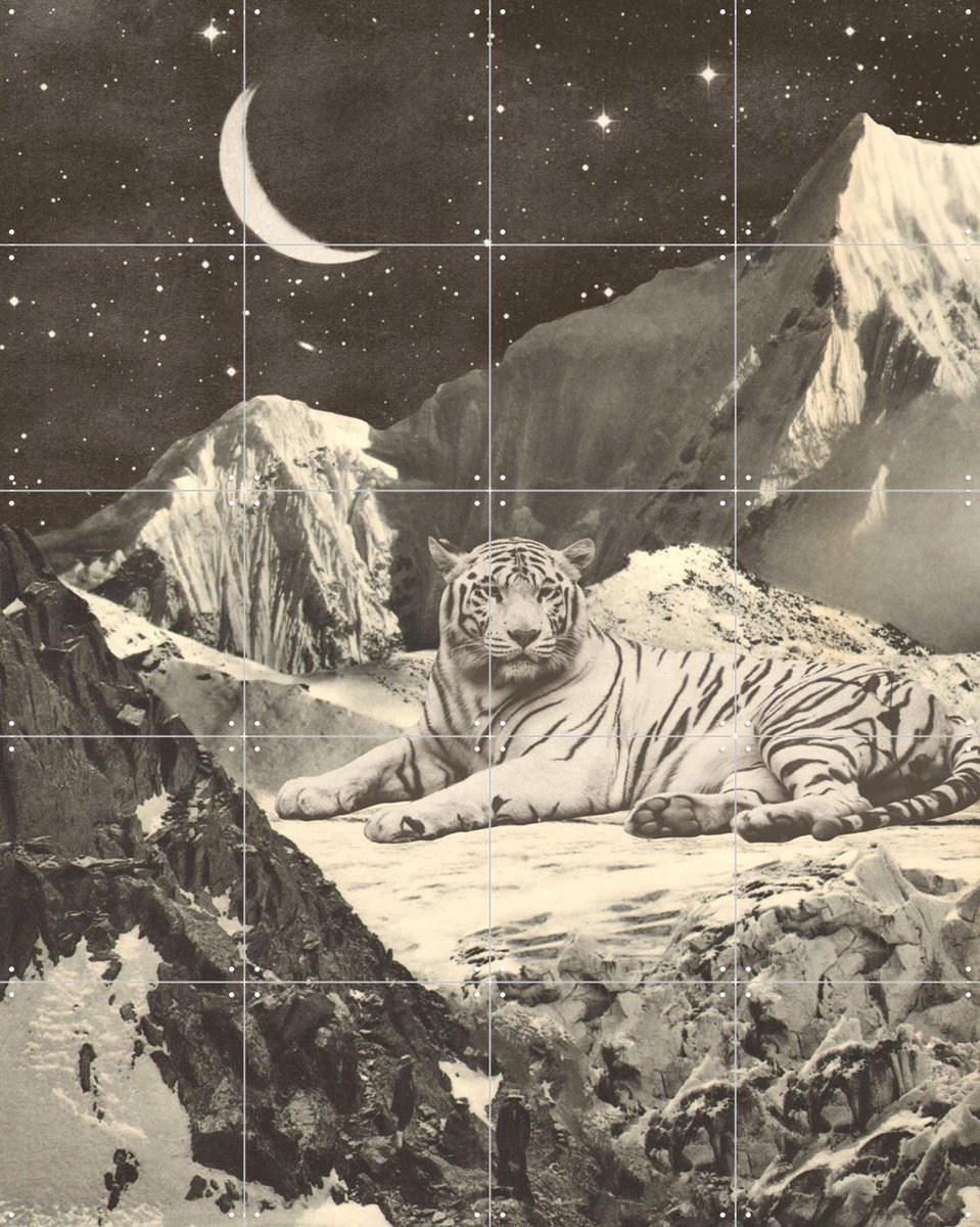 IXXI Giant White Tiger, Florent Bodart - 80 x 100 cm - Gratis ophangtool - Grote wanddecoratie en posters - Illustraties, Surrealisme, Vintage
