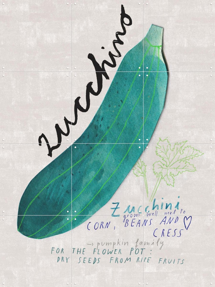 IXXI Zucchini EN, Signorinah - 60 x 80 cm - Gratis ophangtool - Grote wanddecoratie en posters - Grafisch Ontwerp, Speels, Illustraties, Eetkamer