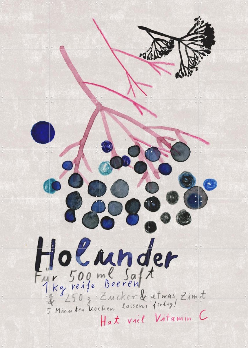 IXXI Holunder, Signorinah - 100 x 140 cm - Gratis ophangtool - Grote wanddecoratie en posters - Illustraties, Speels, Aquarel, Woonkamer, Eetkamer