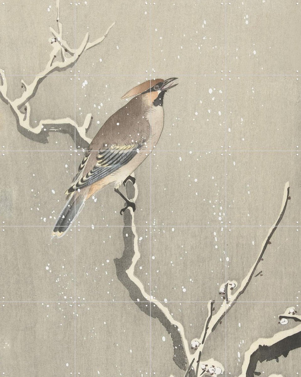 IXXI Bird on a snowy branch, Ohara Koson & Rijksmuseum - 80 x 100 cm - Gratis ophangtool - Grote wanddecoratie en posters - Ukiyo-e, Klassiek